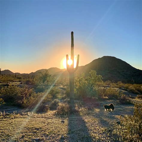 Sonoran Desert National Monument – Tales of a vanlife couple