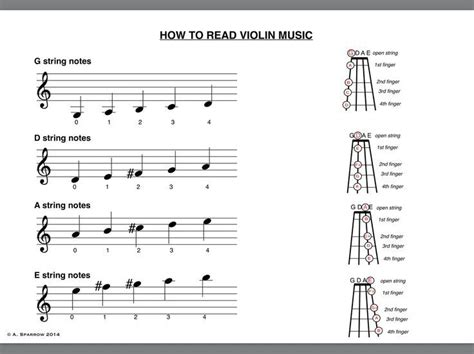 Know Your Strings - #strings | Beginner violin sheet music, Violin ...