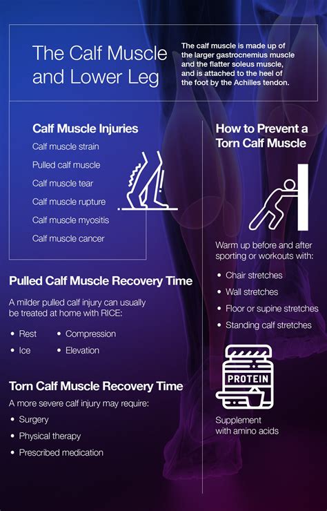 Pulled, Torn Calf Muscle Recovery Time: How to Heal Your Lower Leg ...