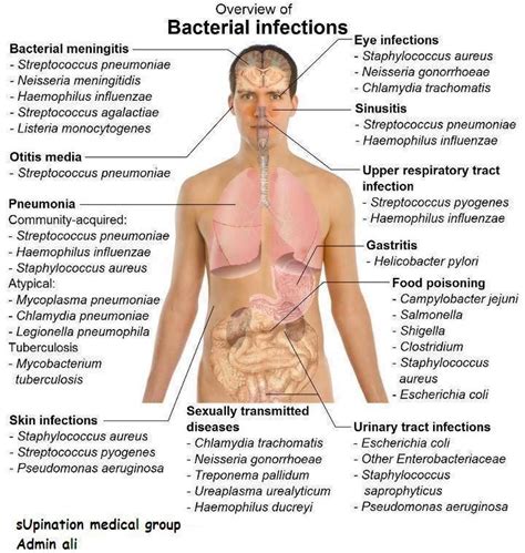 Common Bacterial Infections | Medical knowledge, Bacterial infection, Nurse