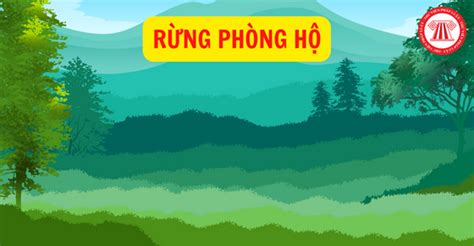 Tìm hiểu rừng phòng hộ có chức năng để bảo vệ môi trường