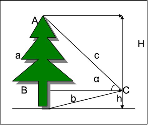 View of tree height measurement by Theodolite at DBH. | Download ...