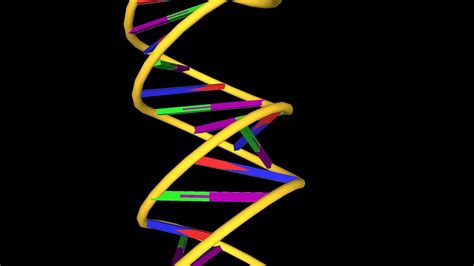 How DNA's Double Helix Structure Was Discovered | Britannica