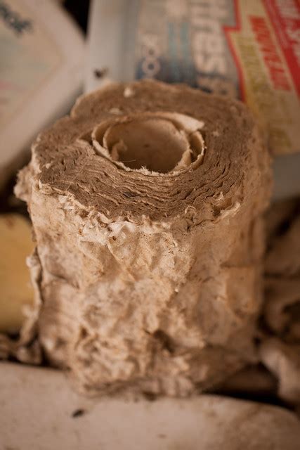 Ancient toilet paper. | Flickr - Photo Sharing!