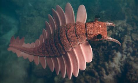 Discover the 3ft Giant Shrimp and Jellyfish Hybrid From 500 Million ...