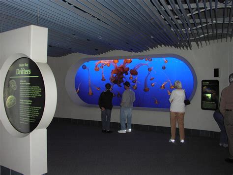 Johnson Architectural Group - Portfolio - 1993 Monterey Bay Aquarium ...