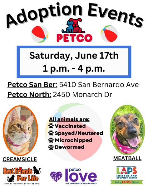 Petco Adoption Events 2024 - Kandy Mariska