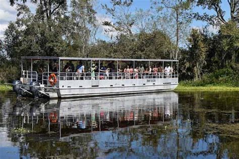 Adventures of Jean Lafitte Swamp Tour with Optional Transportation from ...