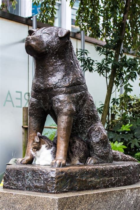 Statue Of Hachiko In Tokyo, A Symbol Of Loyalty Stock Image - Image of ...