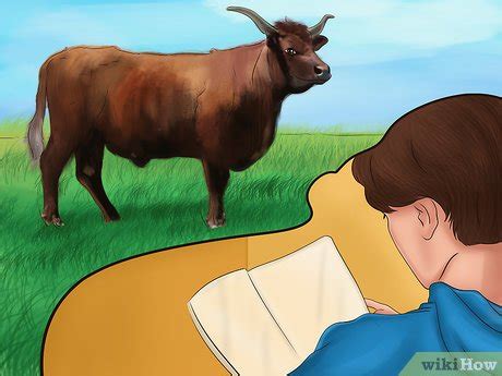 How to Identify Salers Cattle: 4 Steps (with Pictures) - wikiHow