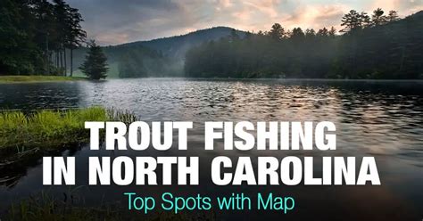 Trout Fishing in North Carolina (NC) - Top Spots with Map