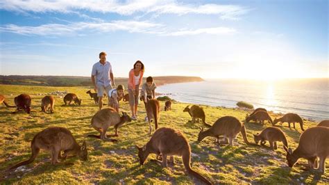 The Traveling Islanders Guide To Kangaroo Island - Traveling Islanders