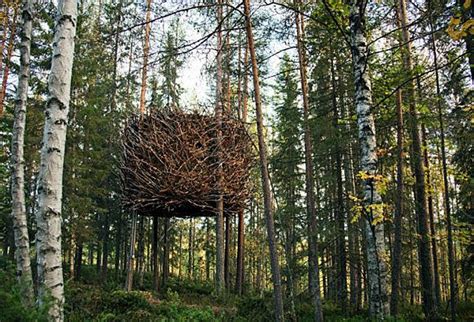 THE TREE HOTEL / BIRDS NEST | Tree house, Cool tree houses, Tree