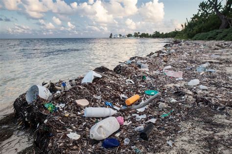 The Problem of Marine Plastic Pollution | Clean Water Action