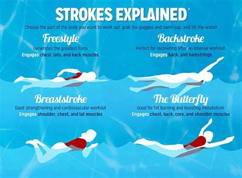 What Are The Most Popular Swimming Strokes? - Xsport Net