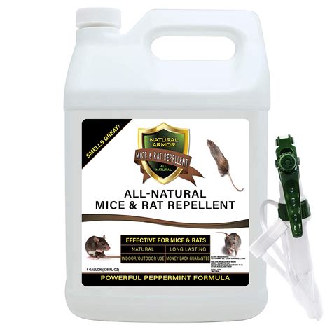 Buy Mice & Rat Repellent. Peppermint Repellent for Mice/Mouse, Rats ...