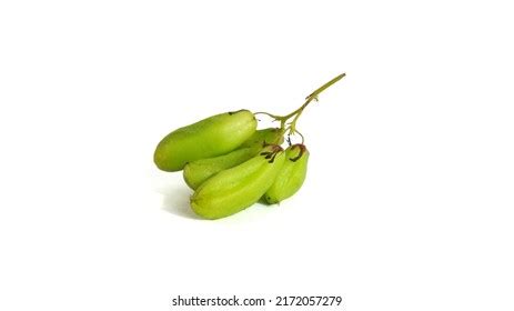 Averrhoa Bilimbi Belimbing Wuluh Indonesia On Stock Photo 2172057279 ...