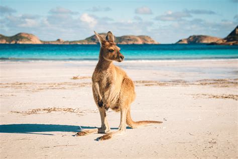 Weer in Australië in Maart 2025 - Klimaat en Temperatuur - Waar en Wanneer