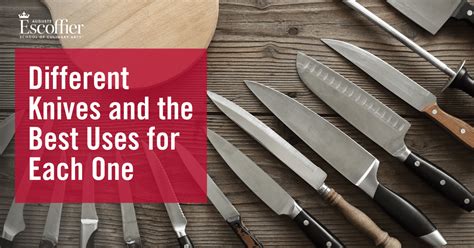 Types Of Kitchen Knives Guide | Besto Blog