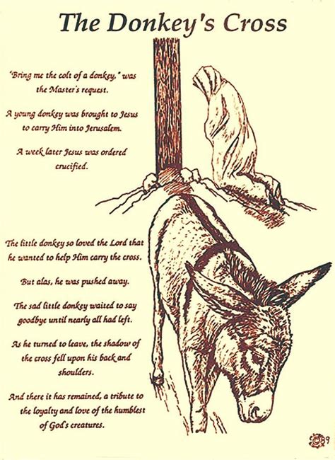 The Donkey's Cross by Mary Singer | The donkey, Cross drawing, Donkey