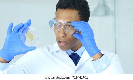 Scientist Studying Reaction Watch Glass Laboratory Stock Photo ...