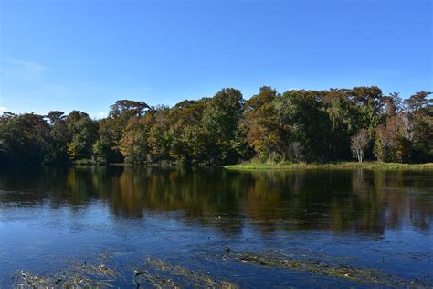 Wakulla Springs State Park, Florida | State parks, Florida, Park