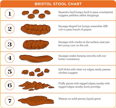 poop chart what the color and texture of your stool means - what your ...