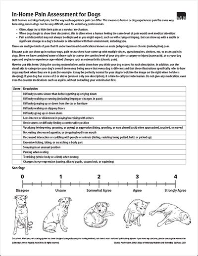 In-Home Pain Assessment for Dogs (English)