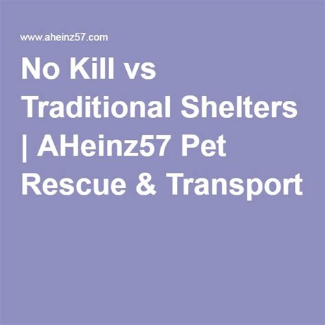 No Kill vs Traditional Shelters | Animal rescue, Shelter, Animal shelter