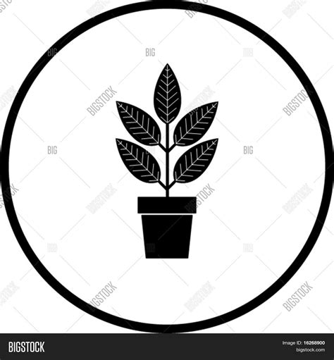 Plant Symbol Vector & Photo (Free Trial) | Bigstock