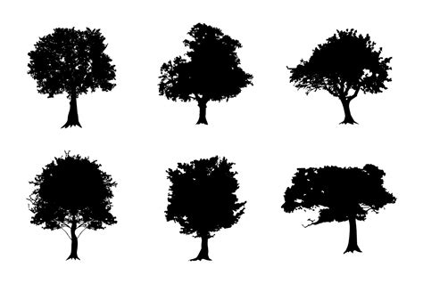 Tree silhouettes. Set of vintage black tree. 8045339 Vector Art at Vecteezy