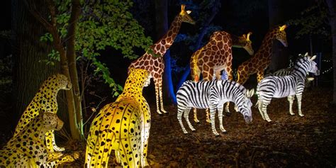 Bronx Zoo Holiday Lights - Travel Journal Mag