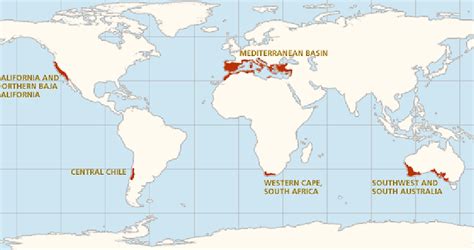 Climate Types for Kids | Mediterranean Climate