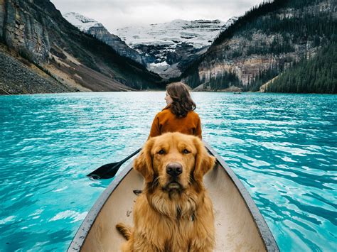 16 Pets of Instagram Who Travel Better Than We Do - Photos - Condé Nast ...