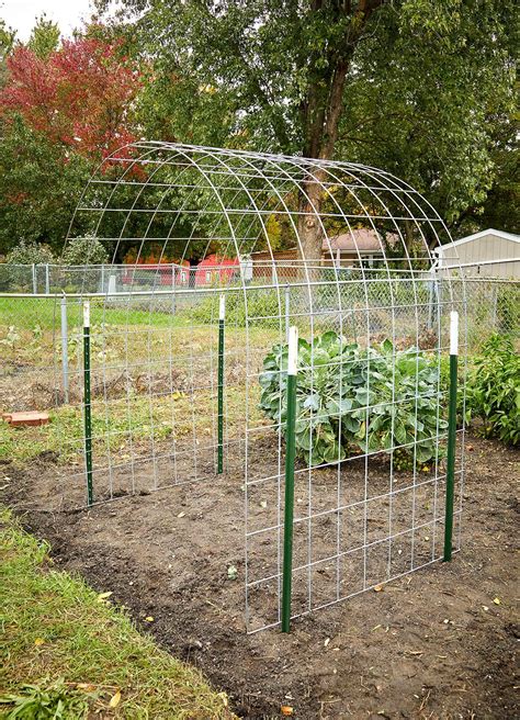 How to Build a Bean Trellis That Adds Interest to Your Garden