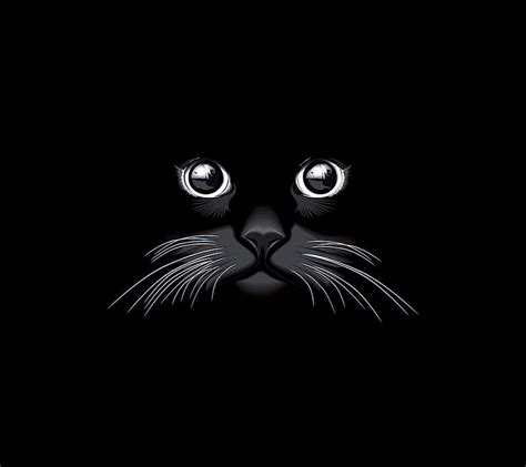 Black Cat Wallpaper 1920x1080