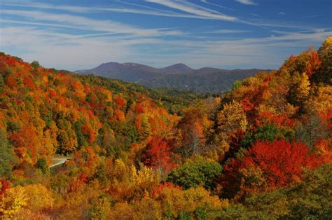 Fall color in the mountains near the Boone area. ExploreBooneArea.com ...