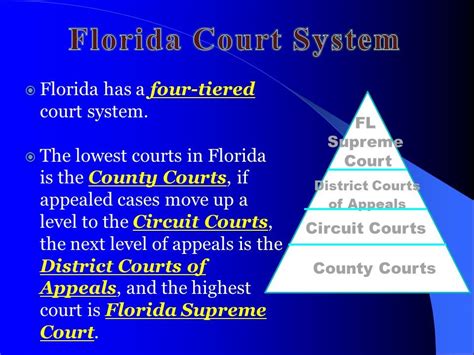 Florida State Court System Diagram | Quizlet