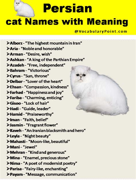 200+ Best Persian Cat Names (Unique, Male & Female) - Vocabulary Point