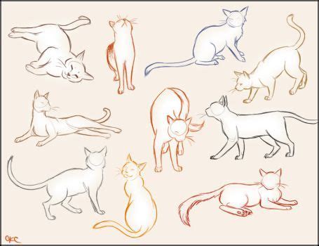 Cat Poses Drawing at GetDrawings | Free download