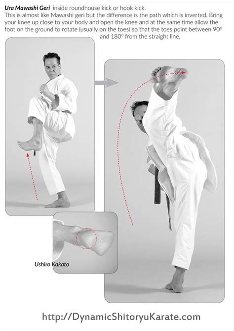 Ura Mawashi Geri – A.Tanzadeh, 8th Dan, Kyoshi of World Shitoryu Karate ...