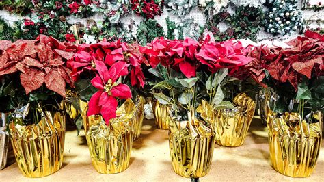 A Guide to Flower Pot Wraps: The Perfect Way to Sell Poinsettias – The ...