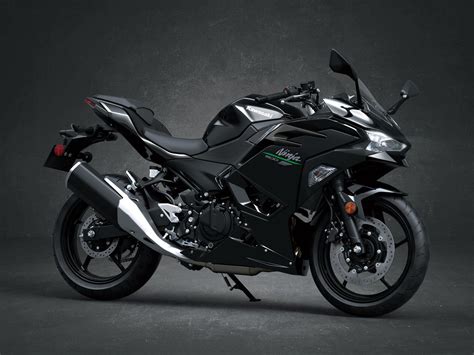 2024 kawasaki ninja 500 2 - Canada Moto Guide