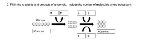 Solved 11 8. 9. 2. Fill in the reactants and products of | Chegg.com