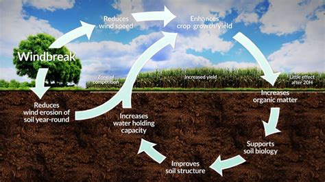 Soil Health Management – Rymax Global