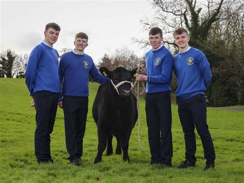 Abbey Community College students celebrated at Croke Park ceremony ...