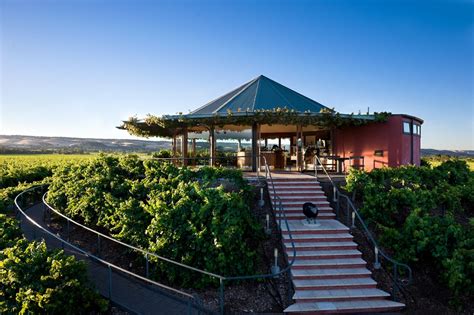 Adelaide wine regions: a helpful guide - SA Weekend Escape