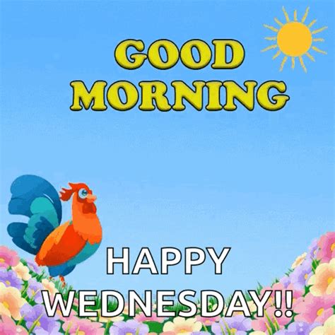 Wednesday Morning Rooster Crowing GIF | GIFDB.com