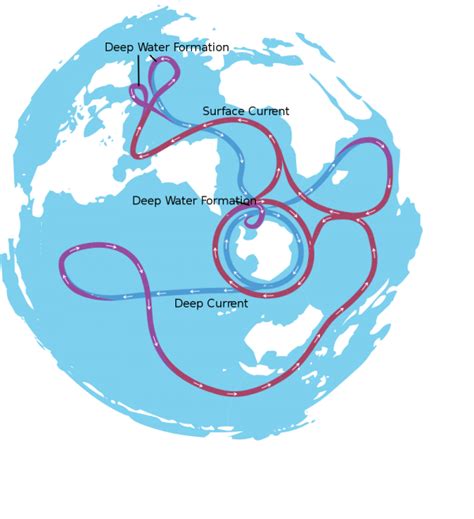 Halting the Ocean Conveyor Belt Theory | PlanetSave