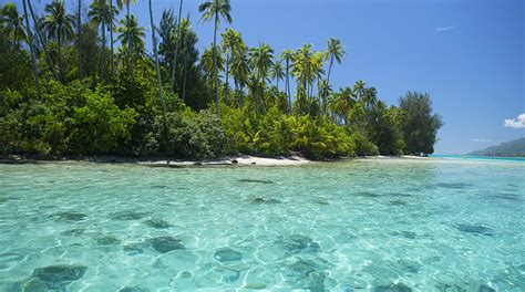 How To Spend One Day In Moorea – Forbes Travel Guide Stories